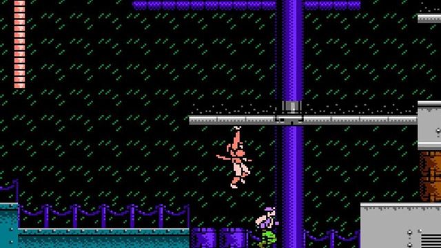Shadow of the Ninja 1