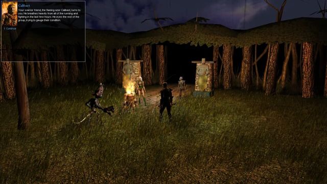 Neverwinter Nights: Kingmaker 3