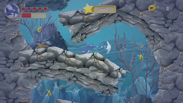 Super Saurio Fly 6