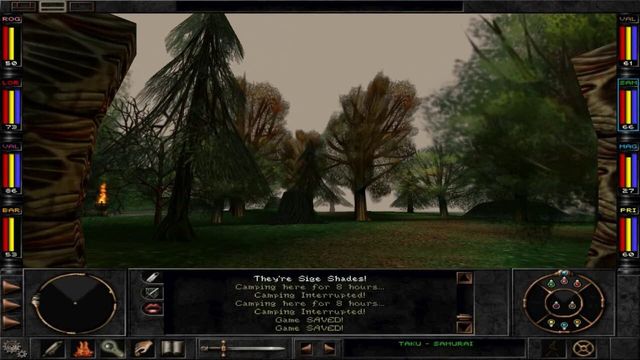 Wizardry 8 3
