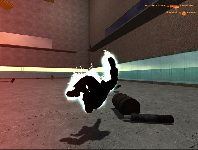 Half-Life 2: Deathmatch 3