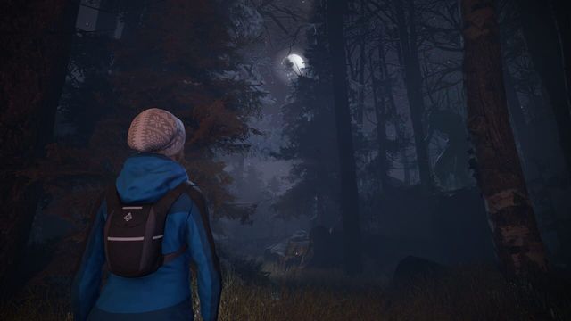 Through the Woods 5