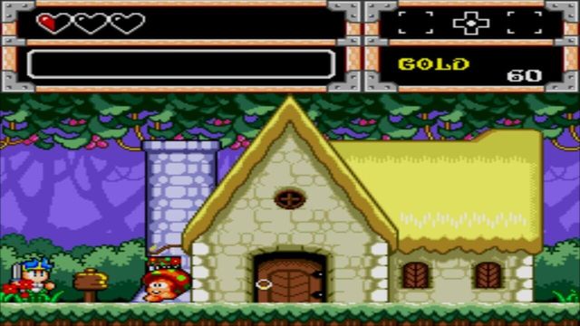 Wonder Boy in Monster World 5