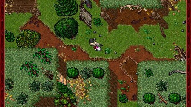 Tibia 3