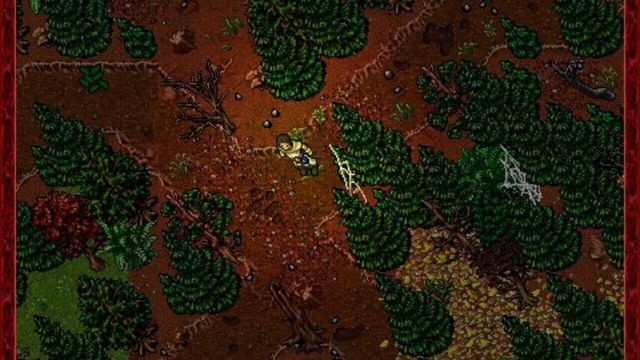 Tibia 4