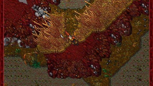 Tibia 6