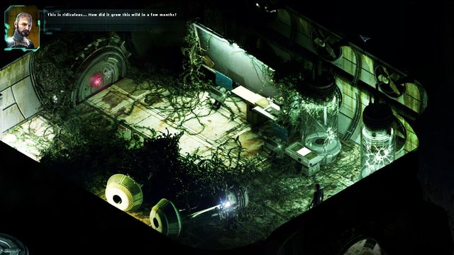 Stasis 5