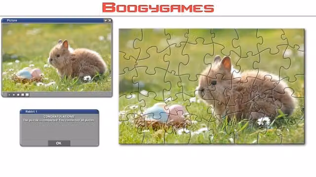Rabbit: Jigsaw Puzzles 3