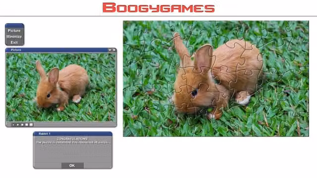 Rabbit: Jigsaw Puzzles 4