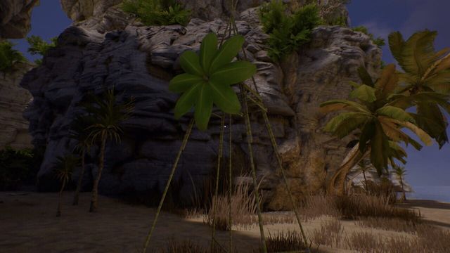 Journey of Life 3