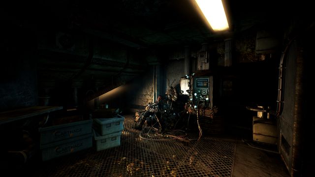 Soma 5