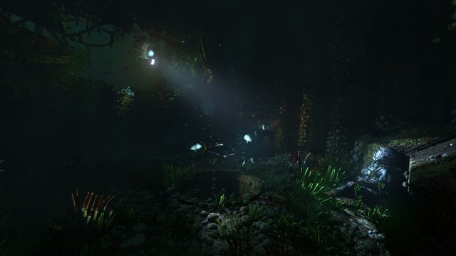 Soma 6