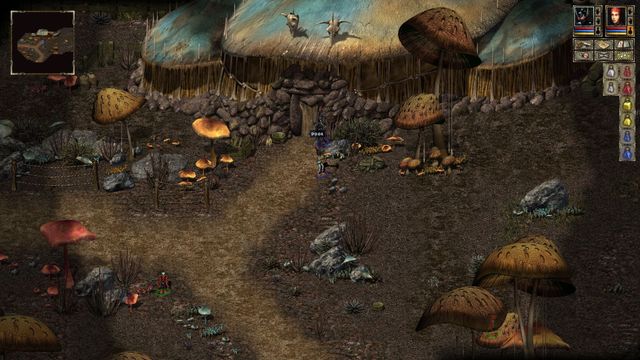 Beyond Divinity 2