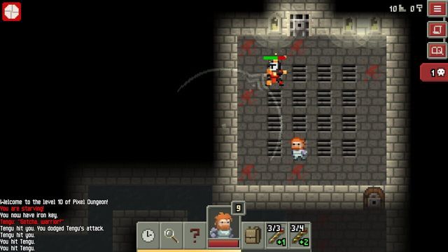 Pixel Dungeon 4