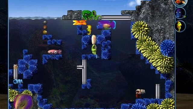 The Fish Fillets 2 4